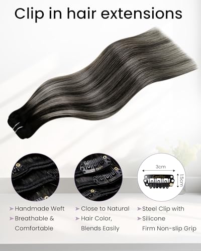 Image of LaaVoo Human Hair Clip In Extensions, Silky Straight, 14 Inch | Black Base Balayage With Silver Grey Strands, 120g 7pcs, Clip In Hair Extensions Real Human Hair, Soft, Thick Full