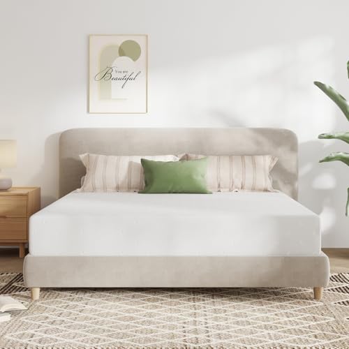 Novilla Colchón tamaño King, colchón de espuma viscoelástica de 10 pulgadas para alivio de presión y sueño cómodo, funda de colchón extraíble lavable, colchón certificado CertiPUR-US King, felpa