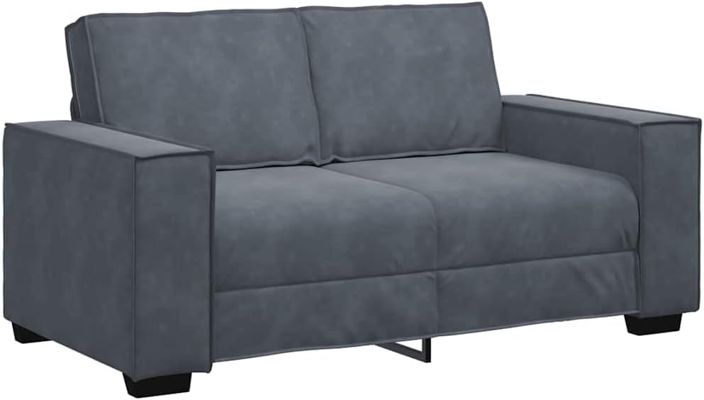 2-Seater Sofa Dark Grey Velvet 47.2 in Width Durable Living Room Furniture