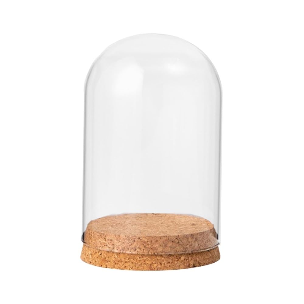 Przezroczysta szklana kopuła Cloche, Szklana kopuła do ekspozycji na stole, centralny element w wielu rozmiarach(8cmx10cm)