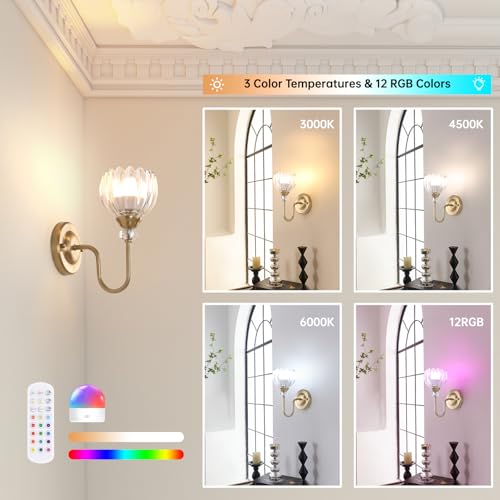 Image of Set of 2 Vintage Battery Operated Wall Sconce, Rechargeable Wall Lamp with 5000mAh Battery & Remote Control, Dimmable Wall Lights with tulip shade for Bedroom Living Room(Tulip Transparent Up)