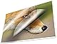 Kangaro Laminierfolie A6 111x154mm 125 micron 100 Blatt