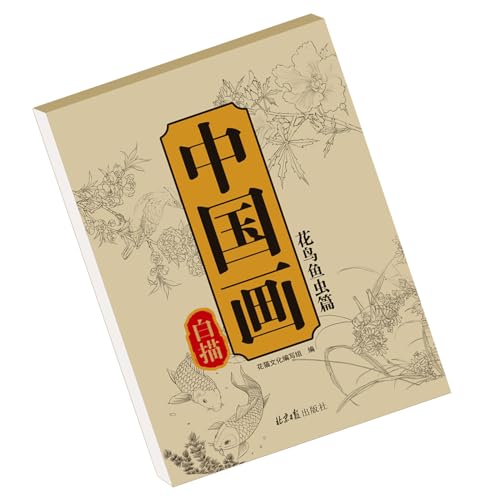 Libro de papel de caligrafía china, libro de copias introductorias, álbum de bocetos de líneas tradicionales, suministros de arte divertidos para el hogar, estudio, escuela