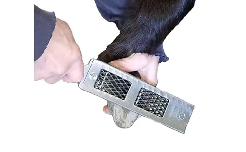 Cody James Littlefoot Hoof Rasp - The Best mini File for Trimming Smaller Hooves - Choose Fine, Medium or Aggressive (Aggressive)