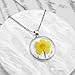 Daffodil Pressed Flower Necklace,Personalized Gold Handmade Necklace, December Birth Flower Necklace for Women,rebirth, Symbols of friendship and rebirth,Perfect Gifts For Birthday,Party, Christmas-18