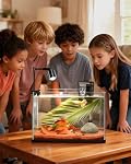 Réservoir à poisson, 3 Gallon Ultra-Clear Glass Fish Aquarium, avec plaque de séparateur pour Betta, kit de démarrage de réservoir de poisson avec filtre et lumière à LED réglable, blanc