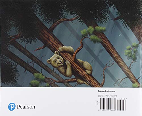 Envision Mathematics 2020 National Student Edition Grade 2 Volume 1