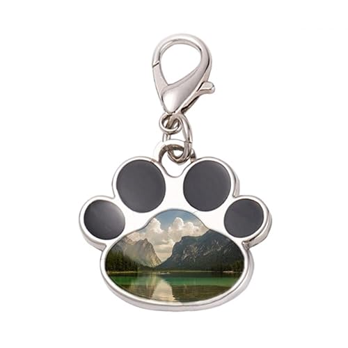 DIYthinker?Lake Mountain Science Nature Scenery Pet Tag Keychain Dog Cat ID