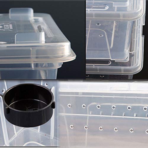 Hamiledyi 2 Pcs Reptile Small Snake Feeding Box Lizard Tarantula Habitat Cage Hatching Container Transparent Portable Plastic Mini Pet Houses For Scorpion Spider Frog thumb #6