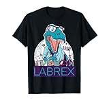 Dinosaurier Labor Chemikerdino Biologie Experiment