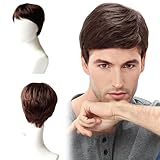 ZXTGBQ Peluca Hombre Pelo Corto, CCorta Pelucas Hombres Carnaval Pelucas Disfraces de Adulto Cosplay Fiesta, Peluca Corta para Hombre, PPeluca Corta de Pelo Sintético para Hombres (Marrón)