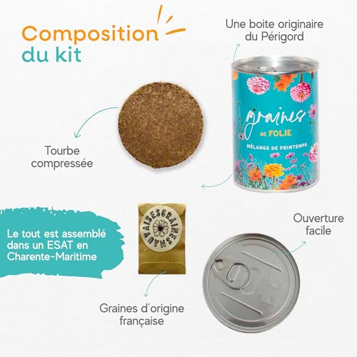 Kit de Graines de Fleurs Mauvaises Graines à Semer - 6