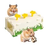 erizo enano africano precio Uso del túnel multiusos: con una función de doble nido, el túnel de animales pequeños soporta actividades de madriguera y sesiones de siesta, mejorando el bienestar de tu mascota a través de un juego atractivo y cómodos lugares de descanso