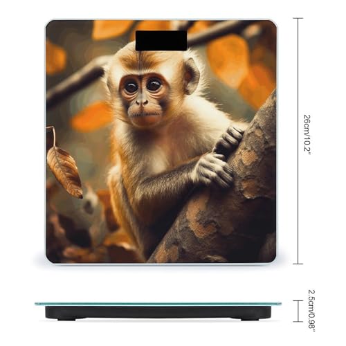 Báscula Digital de Baño con Pantalla LCD de Vidrio Templado miniatura 2