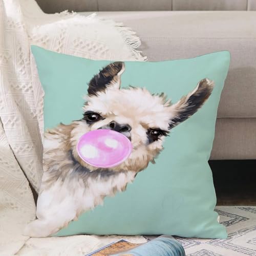VJIZLOQB Fundas Cojines,Fundas de Cojines Decorativo Fundas Cojin Poliéster por Sala de Dormitorio Sofá,Llama andina soplando Chicle Rosado Antiguamente, la Llama era una Especie domés,40x40cm