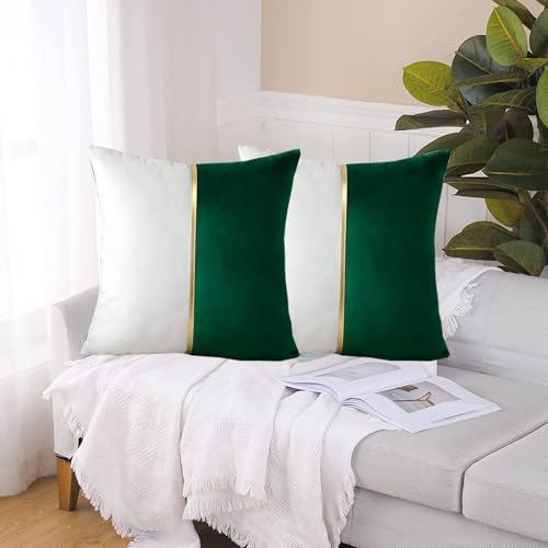 Image of HIMS Velvet Sofa Pillow Cover Set of 2, Luxury Cushion Cover 18 inch x 18 inch for Decorative Living Room Sofa Bedroom Car (18x18 Inch, Green)