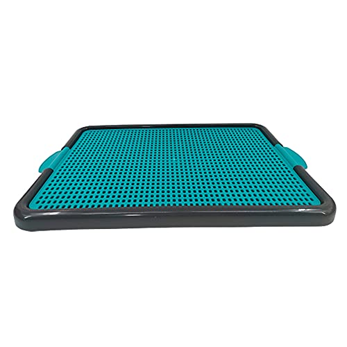 Sanitário Canino BrinqPet Cor: Verde