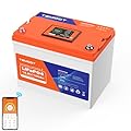 12V 100AH Group 24 Self-Heating LiFePO4 Lithium Battery with Touchable Smart Display & APP Monitoring, Built-in 100A BMS,1280W Load Power, 5000+ Cycles, Perfect for RV/Camper, Solar, and Off-Grid