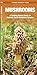 Mushrooms: A Folding Pocket Guide to Familiar North American Species (Wildlife and Nature Identification)