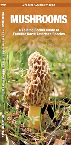 Mushrooms (Nature Observation North America)