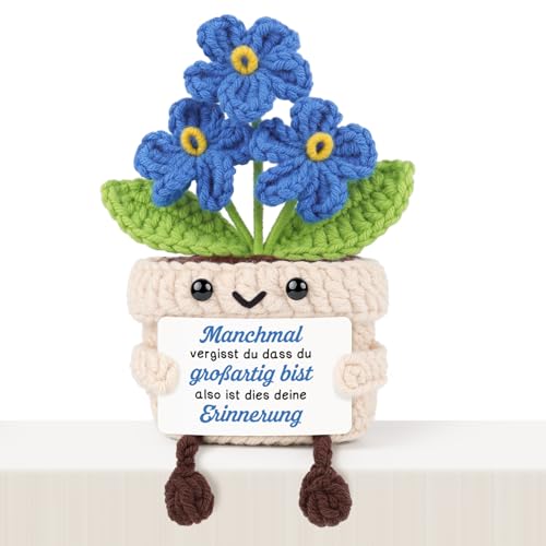 Giftasy Geschenk Für Freundin Handgemachte Gehäkelte Vergissmeinnicht Mit Energiekarte Geschenk Frauen Kollegen Freunde Pocket Hug Geburtstag Weihnachten Geburtstagsgeschenk