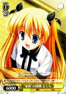 @CXV@c gƑh̒cR  R DC/W23-018-C yD.C.`_EJ[|` 10thAjo[T[~bNXz