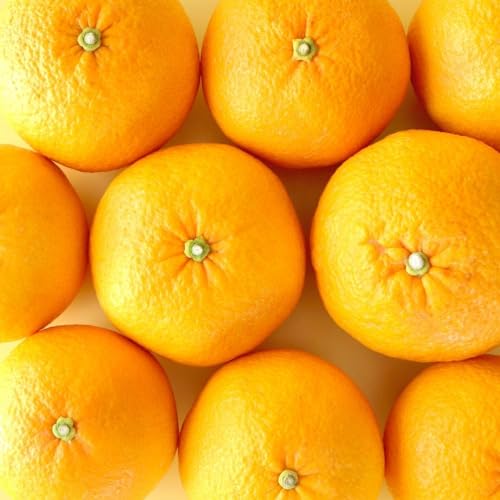 八朔 (はっさく) 箱込 10kg(内容量約 9.2kg) 2L L Mサイズのいずれか 秀品 優品 混合 和歌山県産 産地直送【おまけ付き】