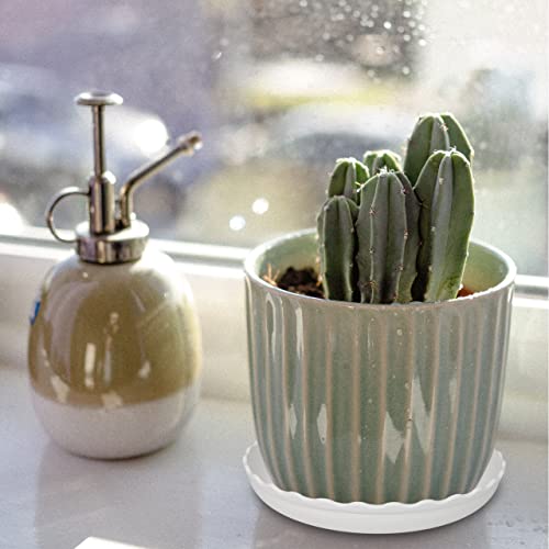 Ecoespti Plant Saucer, 7 Pack 8 10 12 14 15 Inch Durable Plastic Plant Trays For Pots, White & Black Round Plant Pot Saucers, Drip Tray For Indoor And Outdoor Garden (10", For 7 8 Inch Pot) #TOP6