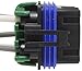 WVE by NTK 1P1184 A/C Compressor Relay Connector, 1 Pack