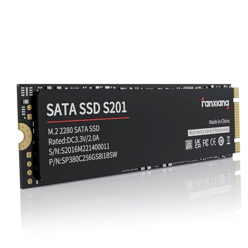 fanxiang S201 M.2 SATA SSD Interne Festplatte M.2 2280 SATA III, 550MB/s Lesen, 420MB/s Schreiben, mit SLC Cache und TLC 3D-NAND, ideal für Notebook, Ultrabook und Tragbare Geräte (128GB)