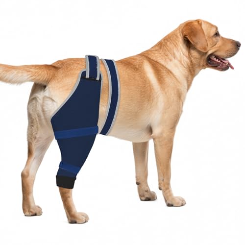 Image of Dog Sleeve for Rear Legs to Stop Licking, Upgraded Recovery Sleeve for Hind Back Leg Wounds,TPLO, ACL Surgery, Light Comfortable Cone Alternative, Left,L, Blue