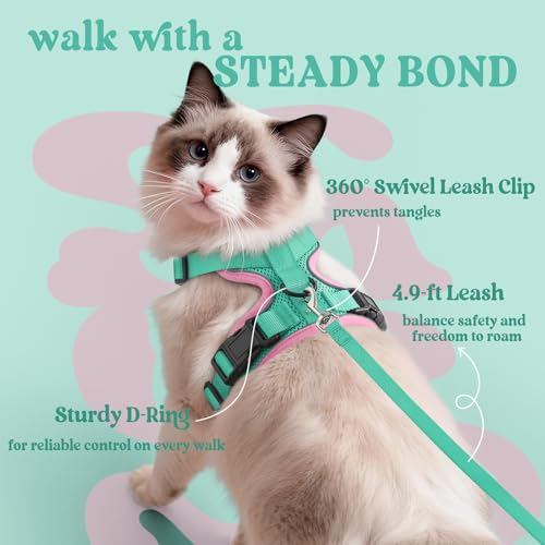 Image of rabbitgoo Cat Harness and Leash Set, Escape Proof Vest, Green & Pink | Soft Breathable Mesh, Easy Adjustable Fit, Snap Buckles, Sturdy Clip, Reflective Strips, for Kittens & Small Cats Walks, Xxs