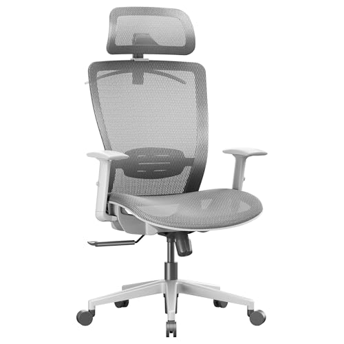 Image of FLEXISPOT OC3 Air Ergonomic Office Chair Mesh Back Swivel Computer Chair Executive Office Desk Chairs with Adjustable Lumbar Support /2D Headrest /Lockable Backrest, Mesh Seat Cushion, Light Gray