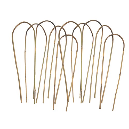 24 in. Bamboo U Trellis Hoop Stakes (10 Pack)