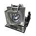 SP.8LL01GC01 OPTOMA HD8300 Projector Lamp