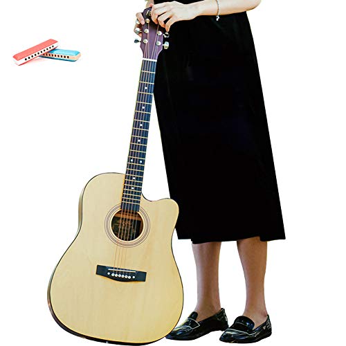 RanBow AR[XeBbNM^[ NVbNM^[ Zbg ㎿ȃG 39C` 41C` wlSғp i guitar