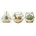 Mkono 4 Inch Mini Glass Geometric Terrarium Container Set of 3 Modern Tabletop Planter Windowsill Decor Shelves DIY Display Box Centerpiece Gift for Succulent Air Plant Miniature Fairy Garden, Gold