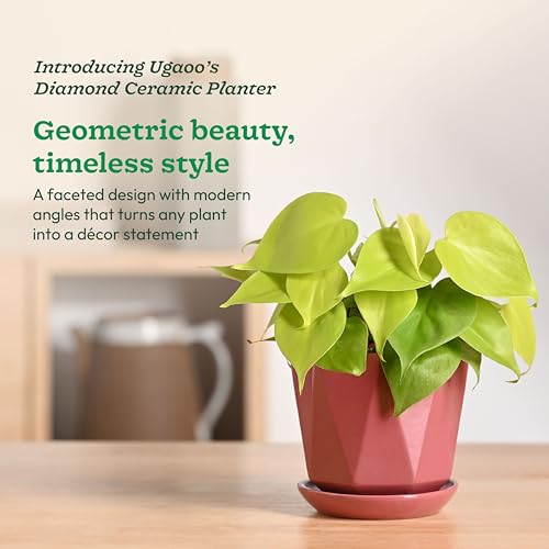 Image of UGAOO Diamond Ceramic Flower Pot for Indoor Plants, 4 Inch - Magenta