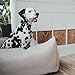 HUNTER Livingston Hundesofa, Hundebett, Strukturstoff, klassisch, S, beige