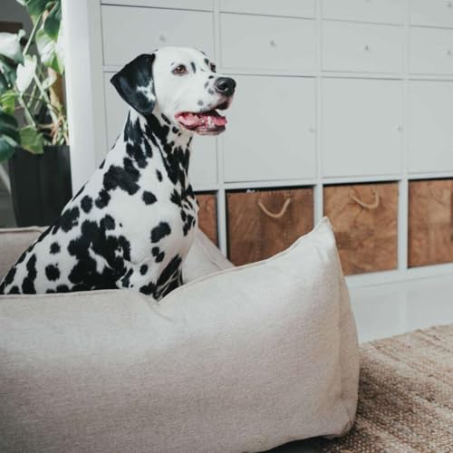 HUNTER Livingston Hundesofa, Hundebett, Strukturstoff, klassisch, S, beige