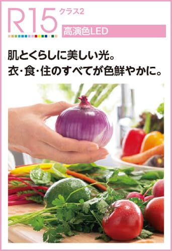 オーデリック LED照明器具 OD361734R 3個セット Amazon.co.jp: オーデリック LEDダウンライト S形 ハイコーン 屋内