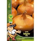 Semillas ecológicas de Cebolla Amarilla Stuttgarter