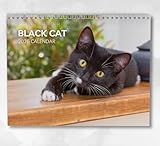 Boyce Publishing Ltd