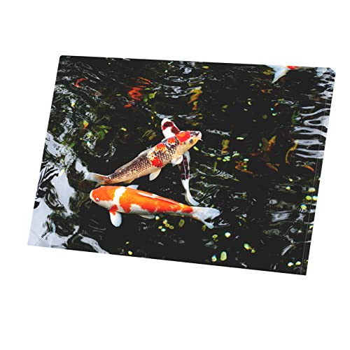 Trois Carpes Koi poster japonais et décoration murale salon format rectangulaire 45x30