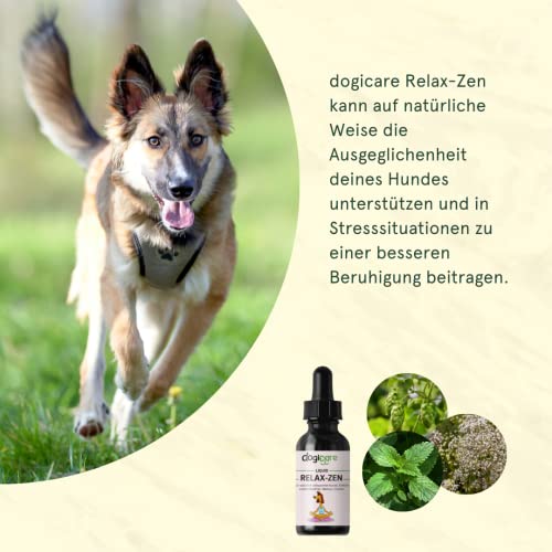 Beruhigungsmittel für Hunde - RELAX-ZEN Liquid-Tropfen 50ml - Baldrian, Melisse, Hopfen - Entspannung & innere Ruhe, Anti-Stress für Angsthunde, Beruhigung bei Silvester, Autofahren, Urlaub & Alltag