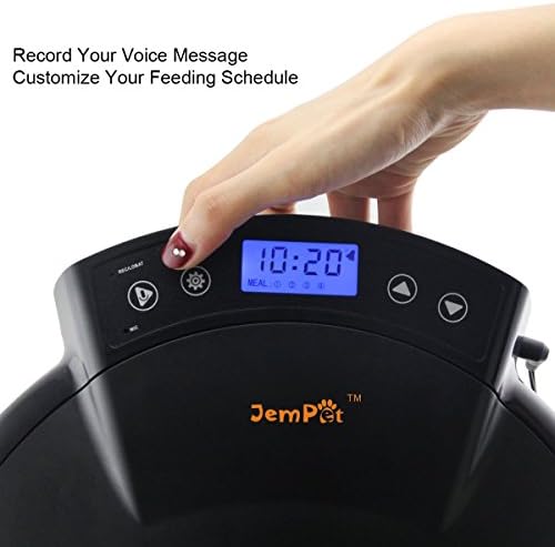 jempet automatic pet feeder
