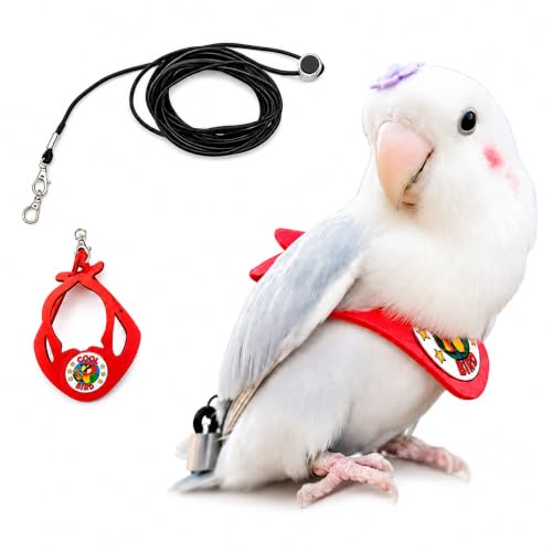 Adjustable Bird Harness & Leash Set for Small Birds FitsBudgie Parakeets Conures Cockatiels Green Cheek Quaker Parrots(Red XS) 6350-1