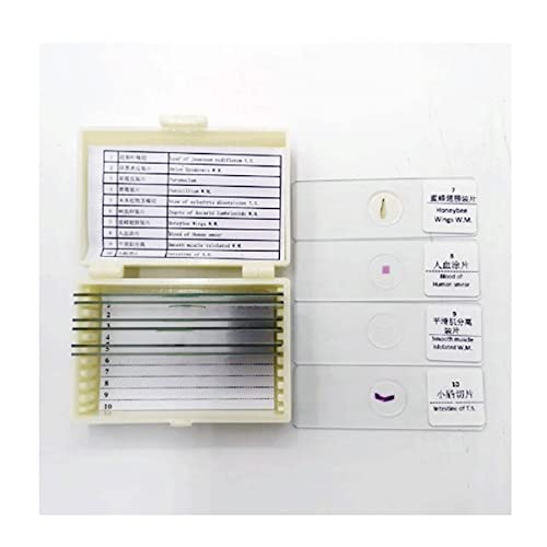 �������K���X�X���C�h �����������K���X�W�{�X���C�h �w������p�̏������ꂽ�������X���C�h (Color : 10PCS)