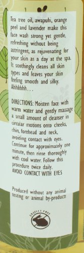 Trader Joe's Spa Set: Face Wash And Facial Cleansing Pads With Tea Tree Oil #TOP1