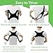 Oormgsrc Posture Corrector for Men, Comfortable Straightener Posture Corrector, Breathable Back Brace for Men Lower Back, Back Support Brace, Spine, Shoulder and Neck Pain Relief